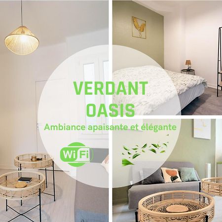 Verdant Oasis - Proche Du Centre - Wifi Gratuit - Parking A Proximite Lourdes Exterior foto